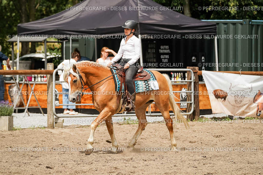 DSC00341 | Pferdegrafie