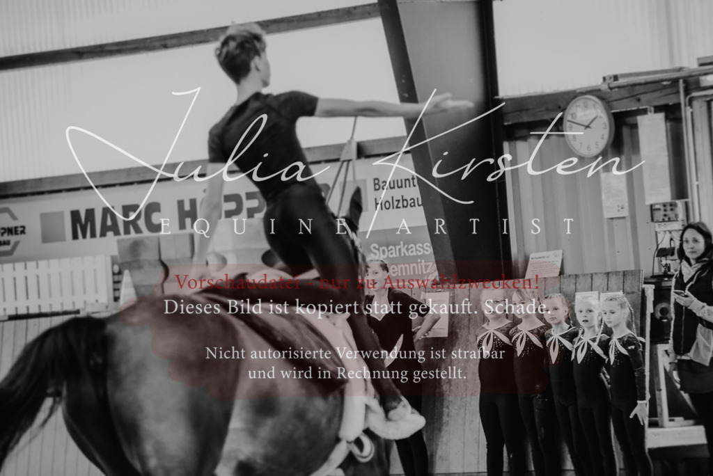 DSC_6929 | Pferde- und Turnierfotografie in Westsachsen. Pferdeportraits, Auftragszeichnungen und intuitive Kunst.