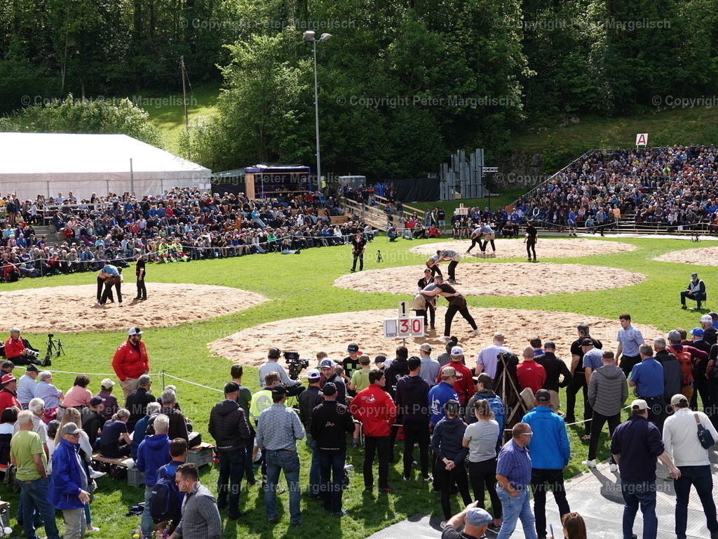 DSC07131 | Schwingen - Realisiert mit Pictrs.com