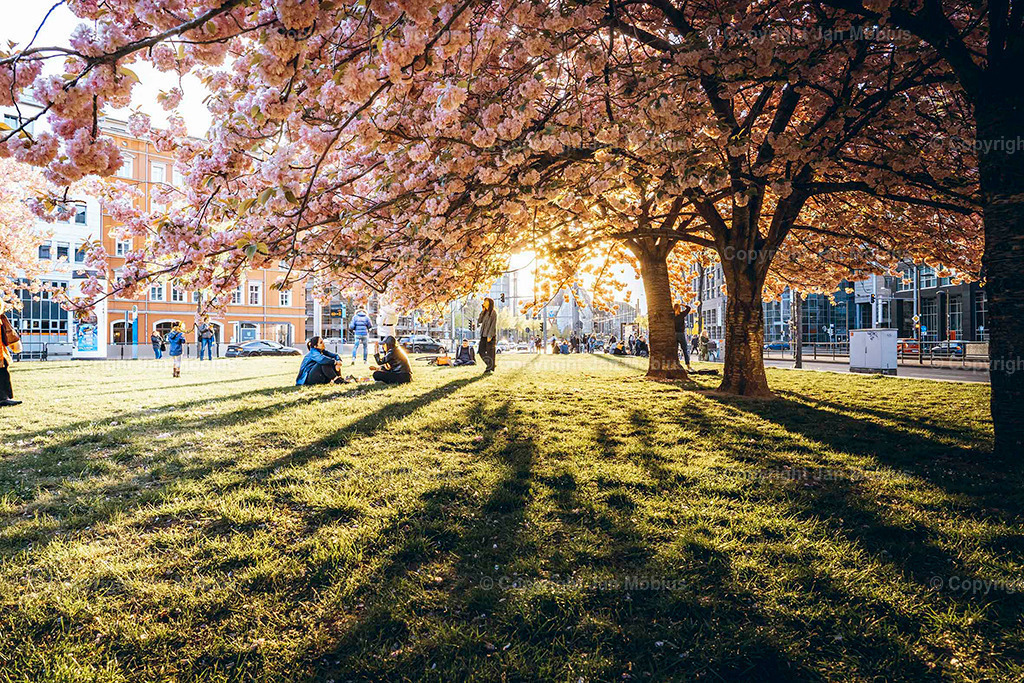 _DSC6134 | Leipzig Wandbilder Drucke Prints Leinwand Stadtmotive Leipzig Fotosdruck Kunstdrucke Bilder Leipzig Stadtansichten Acrylglasbilder Leipzig Wanddeko Fine Art Prints Wandbilder Büro Leipzig Bilder Praxis Zuhause Bilderdruck Poster Posterlounge Kunstdrucke - Realisiert mit Pictrs.com