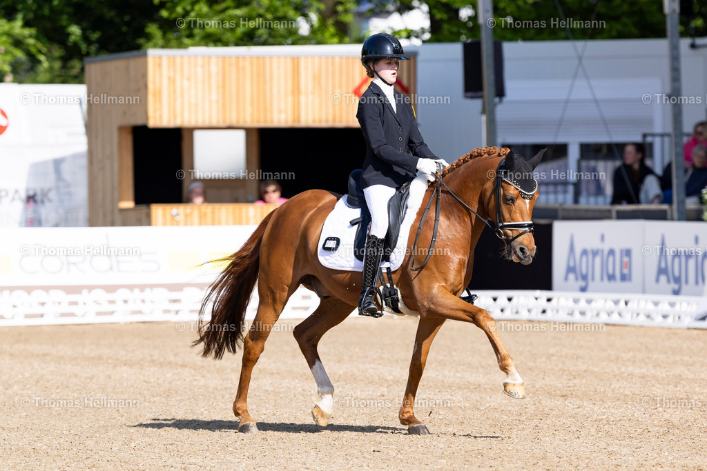 TH_610-SCHIRRMACHER Emily (GER)_ Carlo_18017 | Deutsches Spring- und Dressur-Derby 2024 am 12.05.24 in Hamburg, 610SCHIRRMACHER Emily (GER), Carlo