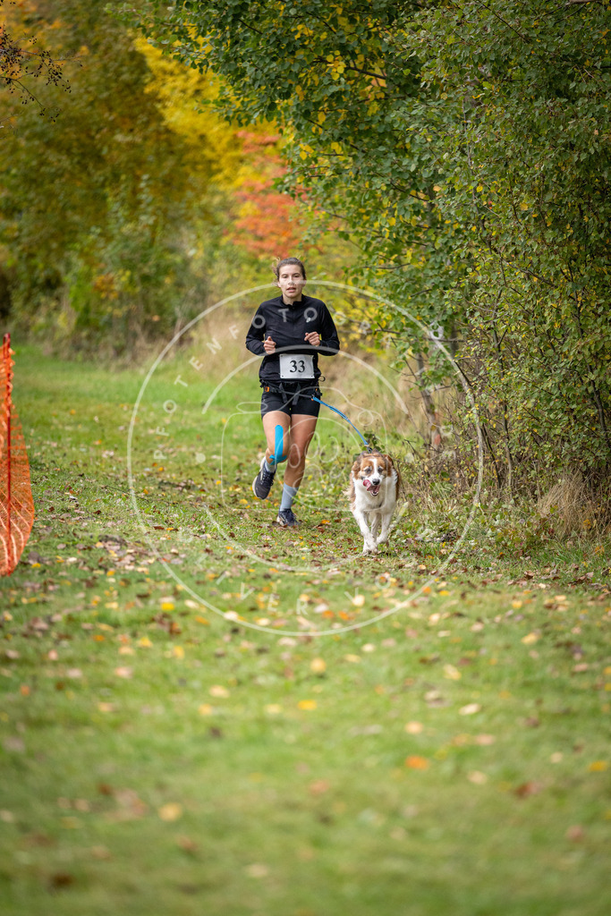 Pfotenfotografie_DV3A2132 | Hundefotografie, Tierfotograf, Pfotenfotografie, Fotoshooting Hund, Hunde Portrait, Hundesport, Hundeportraits, Heideshooting, Hunde, Sportfotograf, Hundefotograf, Turnierhundsport, THS,  - Realisiert mit Pictrs.com