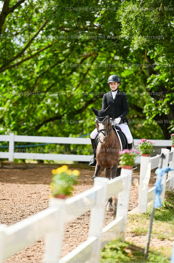 20230716_10-1_Reiter-WB Schritt - Trab - Galopp_0199 | equistock