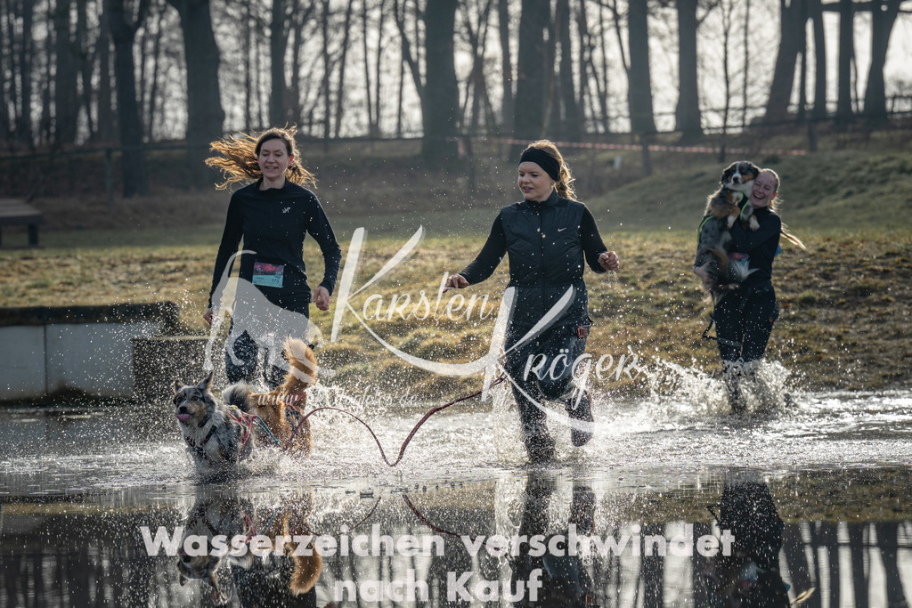 0931_ZZ92025 | kk-dogfotos