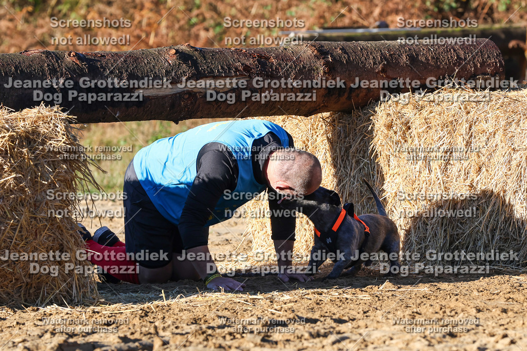 Dog Paparazzi - Strongdog 10-25-1348 | Dog Paparazzi Jeanette Grottendiek Fotografie & Videografie - Realisiert mit Pictrs.com