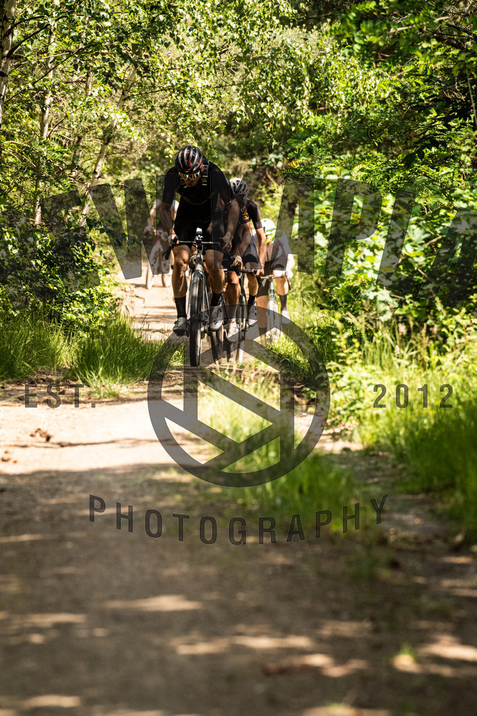 DKP-5233 | Drew Kaplan Photography
