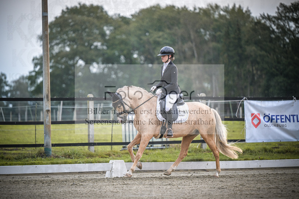 DOS_1011 | Entdecke hochwertige Reitturnierfotos von Foto Oger. Professionell, emotional und authentisch – jetzt Lieblingsmomente im Shop bestellen.Deutschlandweite Turnierfotografie. - Realisiert mit Pictrs.com