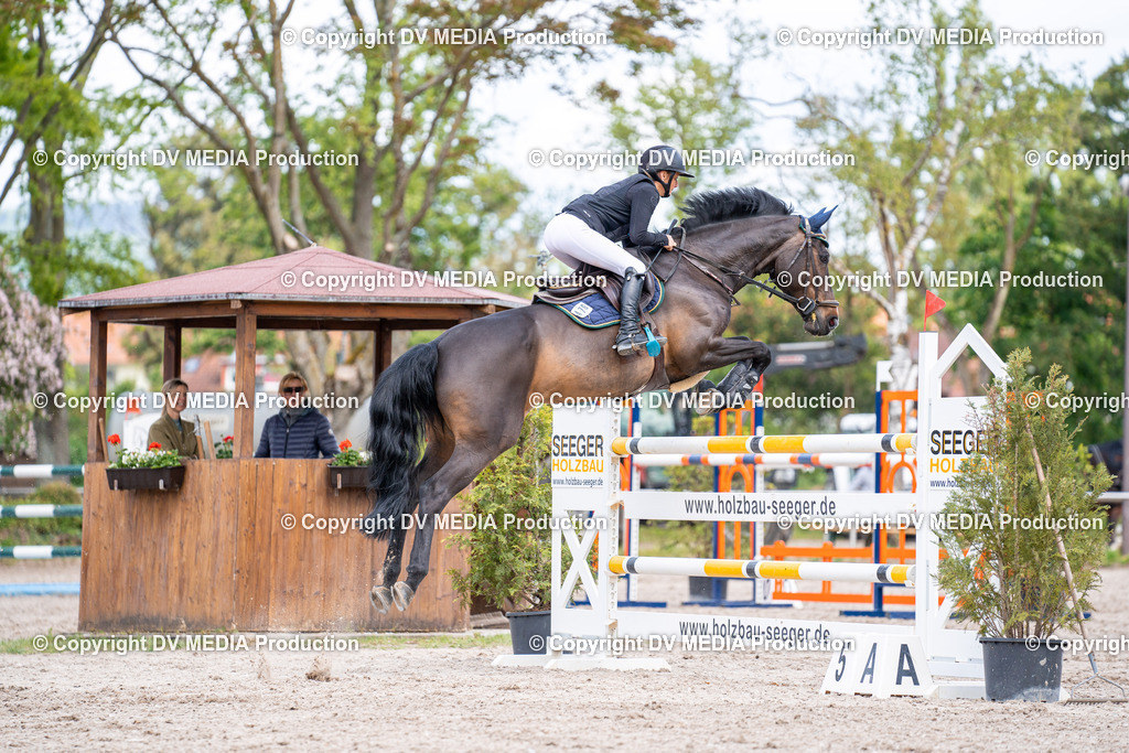 Eppelheim Tag 1-287 | dv-media-shop - Realisiert mit Pictrs.com