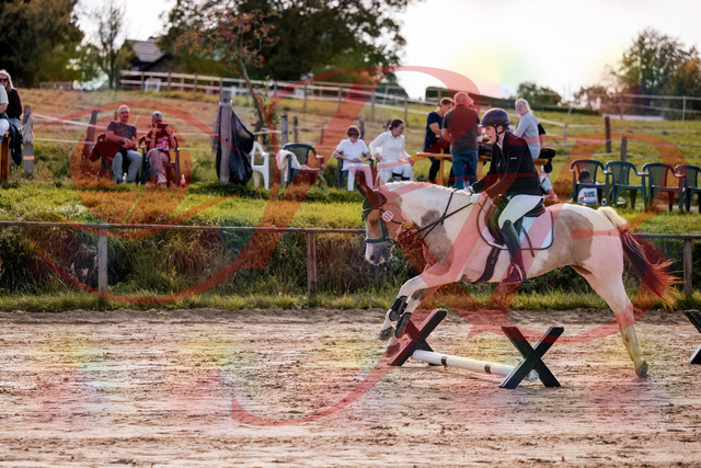 2026_10_03_Siefer-Hof_144237_Z81_15483625 | Professionelle Reitsport-, Turnier- und Eventfotografie von Robert Broda. Galerien mit ausgewählten und bearbeiteten Bildern direkt online ansehen und bestellen.