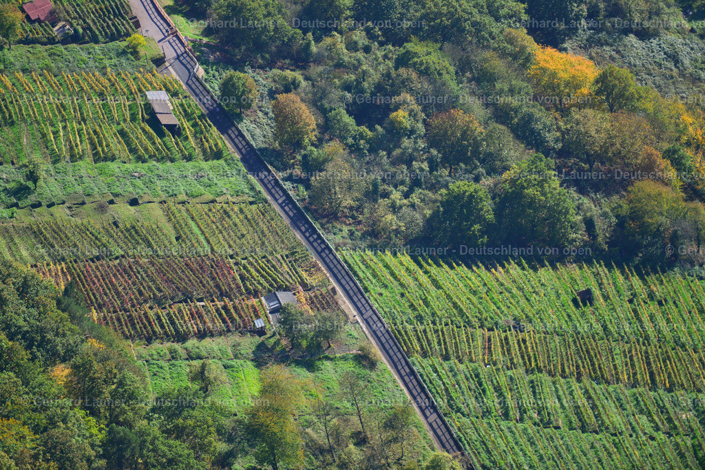 3491155 | Weinberge bei Klingenberg