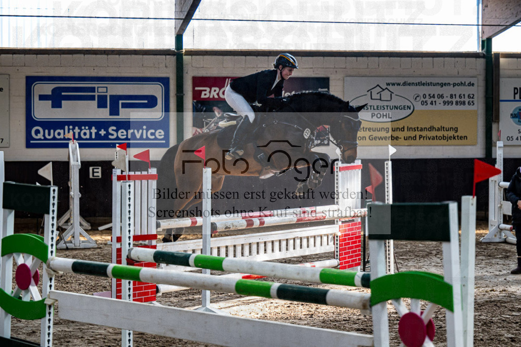 20240308-DOS_3526 | Entdecke hochwertige Reitturnierfotos von Foto Oger. Professionell, emotional und authentisch – jetzt Lieblingsmomente im Shop bestellen.Deutschlandweite Turnierfotografie. - Realisiert mit Pictrs.com