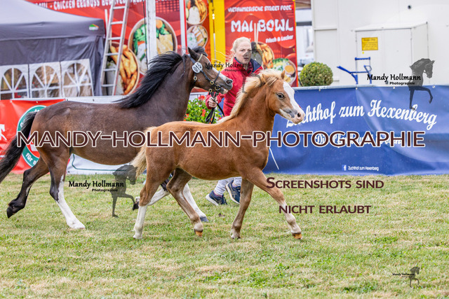 LTN 1 (516 von 918) | mandyhollmannphotographie