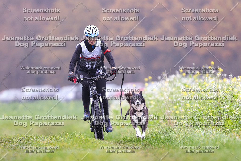 Dog Paparazzi - Visbeck 25 -249 | Dog Paparazzi Jeanette Grottendiek Fotografie & Videografie - Realisiert mit Pictrs.com