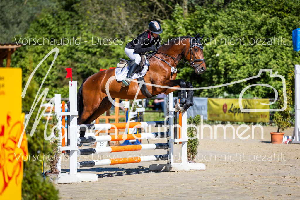 Donop24-A2Spr-053 | MomenTaufnahmen Pferdesportfotos
