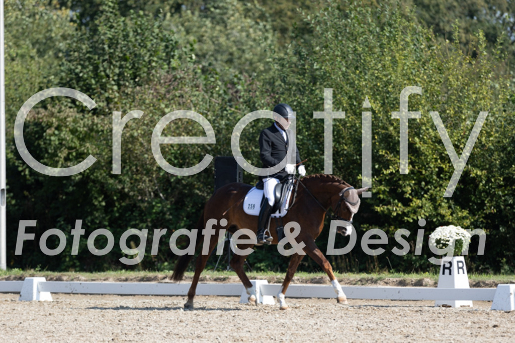 IMG_3409 | Creatify Fotografie