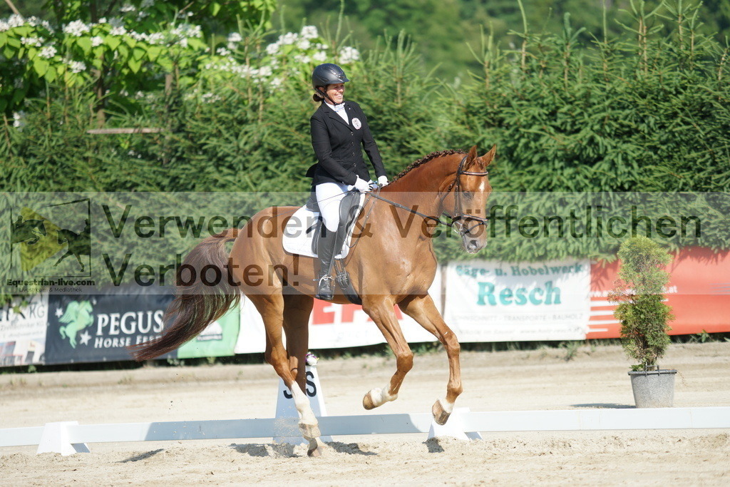 DSC01364 | equestrian-live-com
