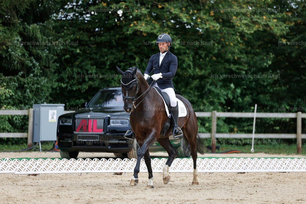 04_1-045-Dressur M__ -StoibPH-StoibPH-2648 | working equitationturnier fotograf videograf stoibphotography marixx film working equitation deutschland reitsport turnierfotografie eventfotografie equestrian events