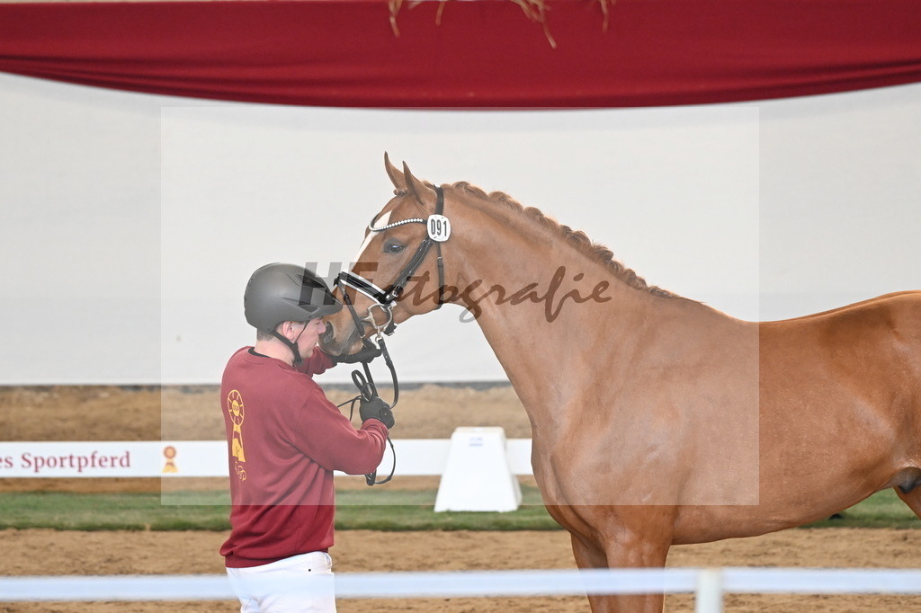 Kat.-Nr. 91 v. Zackerey_May_3261378 | hf-fotografie - Realisiert mit Pictrs.com