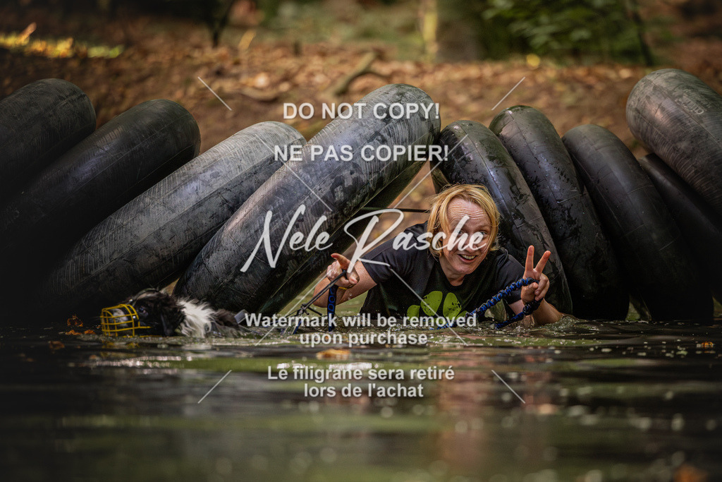 nelerasche_SaWingst0845-1000_102 | nelerasche