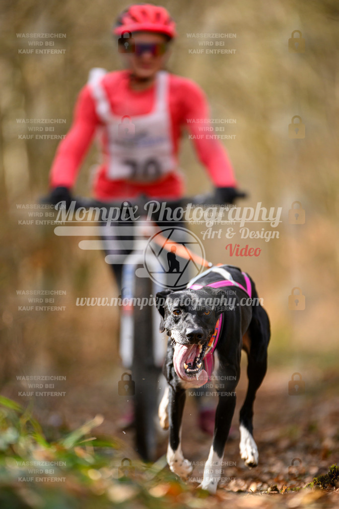 MompixPhotography_ReiatRennen2024_SO_DS1-18 | PayLife
