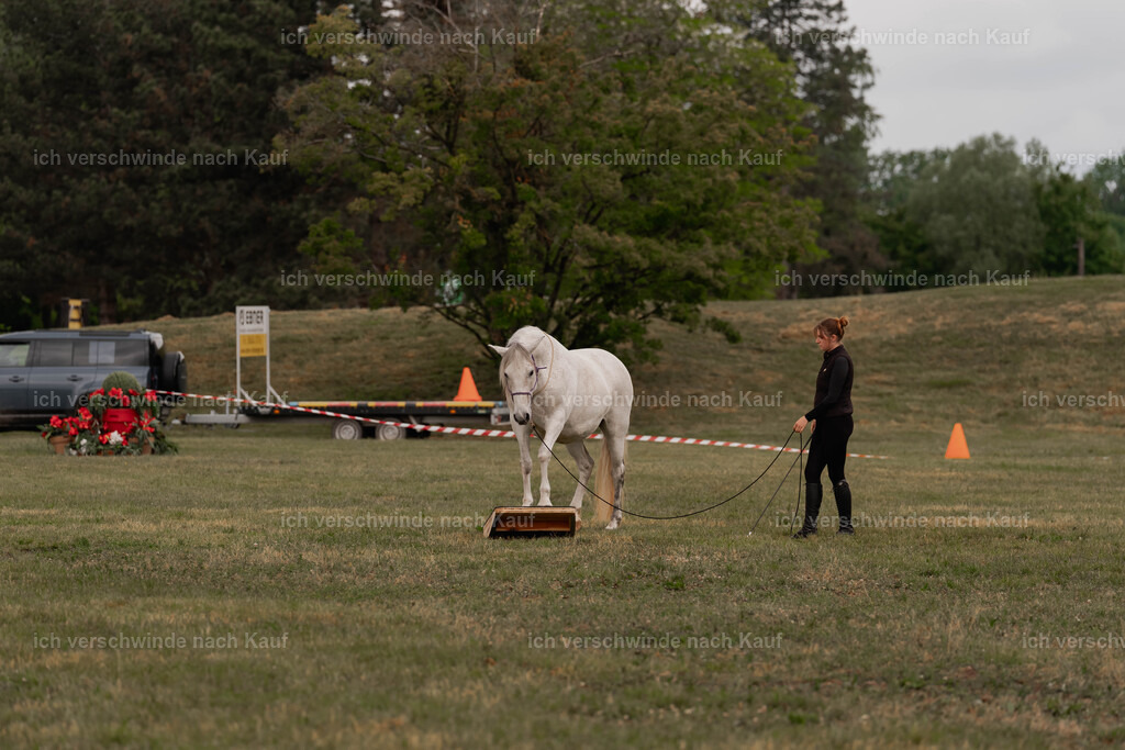 Showprogramm-25 | working equitationturnier fotograf videograf stoibphotography marixx film working equitation deutschland reitsport turnierfotografie eventfotografie equestrian events