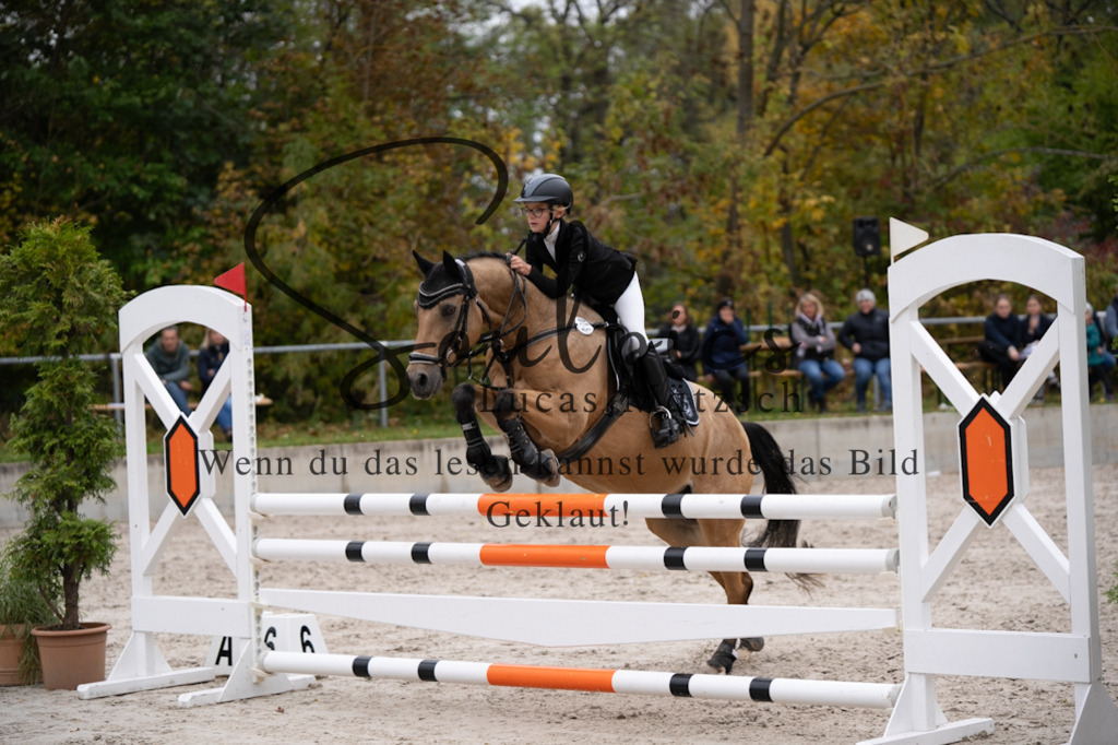 A7V08285 | Pferdefotograf