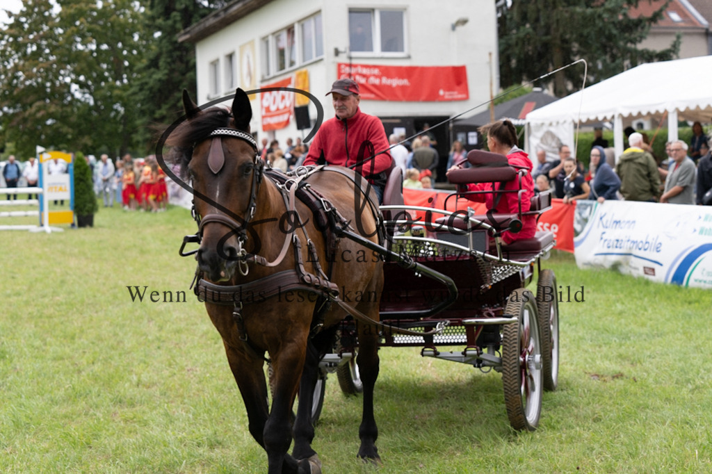 A7V05763 | Pferdefotograf