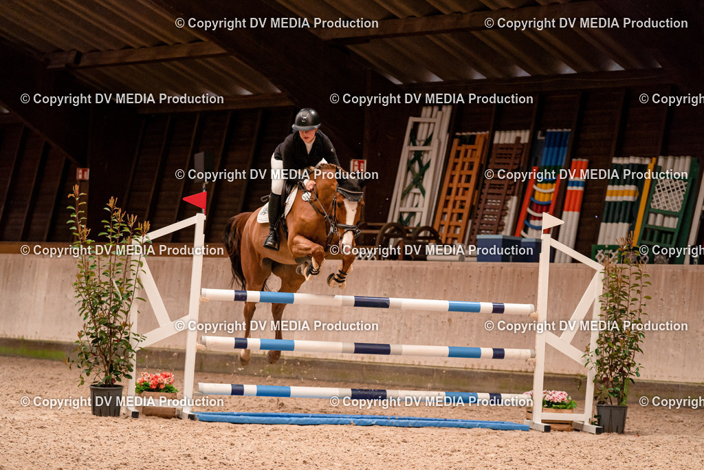 Springen Tag 1-552 | dv-media-shop - Realisiert mit Pictrs.com