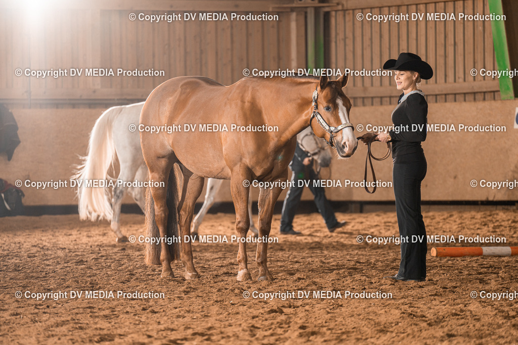 BAL01366 | dv-media-shop - Realisiert mit Pictrs.com