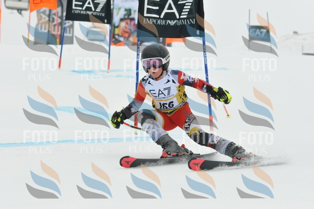 DSC_8563 | holidayphoto