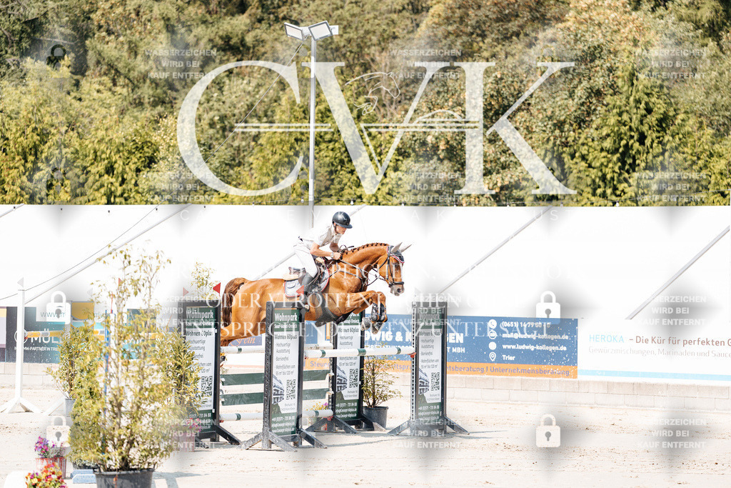 CK901483 | Turnierfotografie Pferdefotografie Trier Rheinland-Pfalz Pferdesport Reitsport Tierfotografie Sportfotografie Pferdevideo Pferdevideografie Equestrianvideography equestrianphotography  - Realisiert mit Pictrs.com