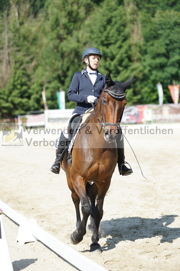 DSC02982 | equestrian-live-com