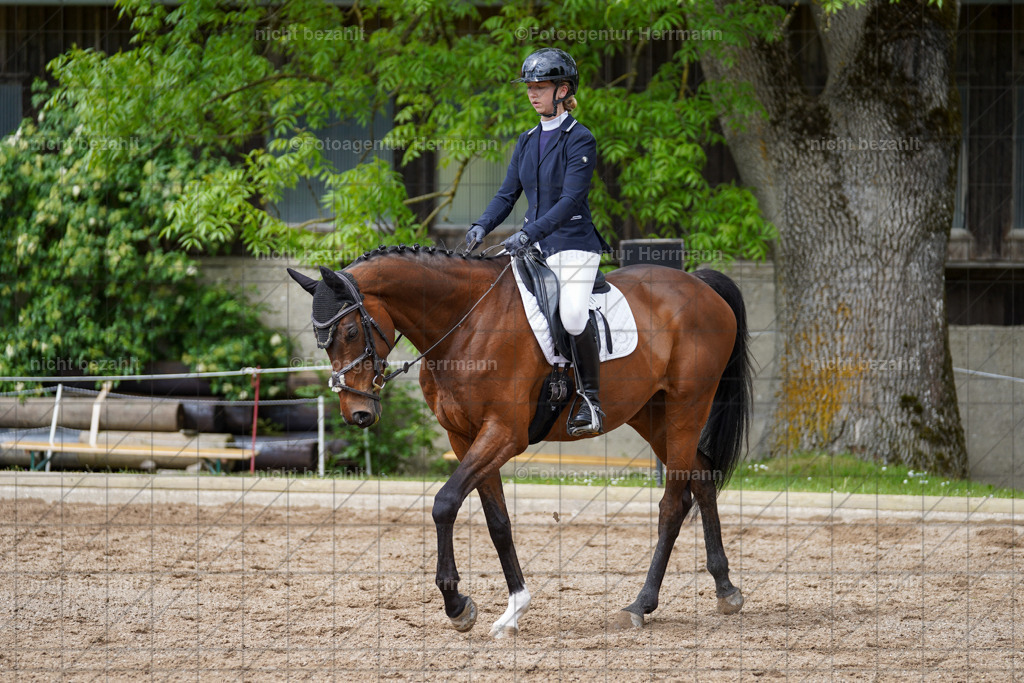 20240519-FAH04877 | Turnierbilder Niederseeon 2024, Vielseitigkeitsdressur, Reitsportbilder aus dem Landkreit Ebersberg, Gut Steinsee, RC Steinsee, Fotoagentur Herrmann