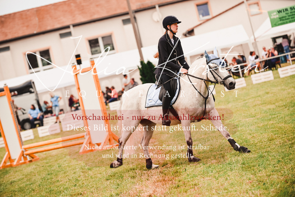 DSC_6959 | Pferde- und Turnierfotografie in Westsachsen. Pferdeportraits, Auftragszeichnungen und intuitive Kunst.