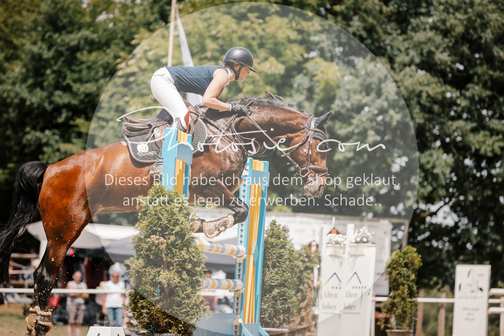 3I6A7875 | Stimmungsvolle Portraits und Reitsportfotografie im Ruhrgebiet und im Münsterland.

Pferdefotografie, Hundefotografie, Tierfotografie, Reportagen, Portraits von Tier und Mensch, Turnierfotografie in Bochum, Recklinghausen, Marl, Haltern am See, Dülmen.. - Realisiert mit Pictrs.com
