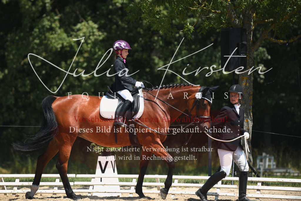 DSC_1671 | Pferde- und Turnierfotografie in Westsachsen. Pferdeportraits, Auftragszeichnungen und intuitive Kunst.