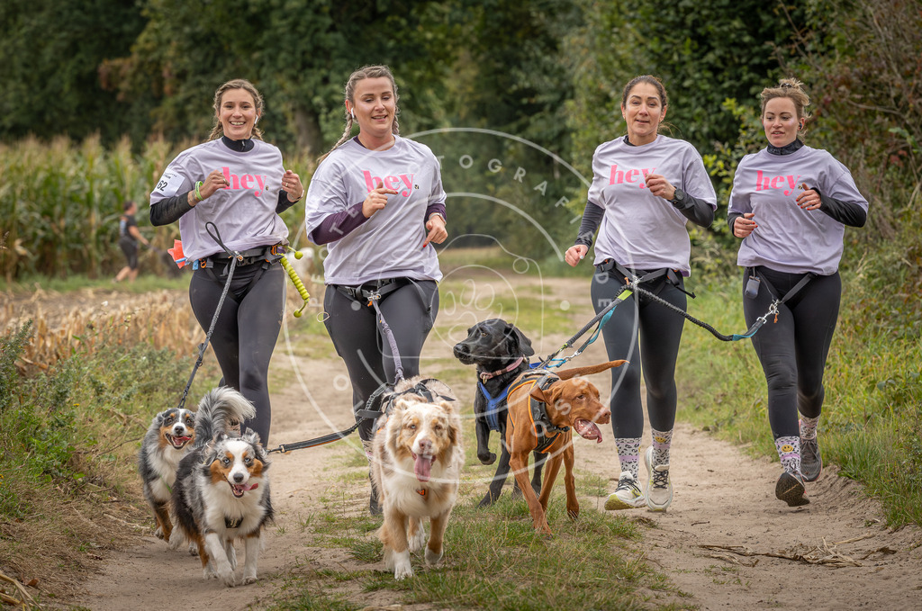 Pfotenfotografie_DV3A7139 | Hundefotografie, Tierfotograf, Pfotenfotografie, Fotoshooting Hund, Hunde Portrait, Hundesport, Hundeportraits, Heideshooting, Hunde, Sportfotograf, Hundefotograf, Turnierhundsport, THS,  - Realisiert mit Pictrs.com