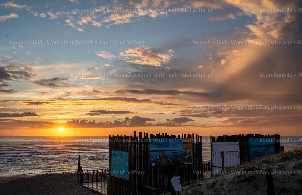 DSC01506 | marcuslinek