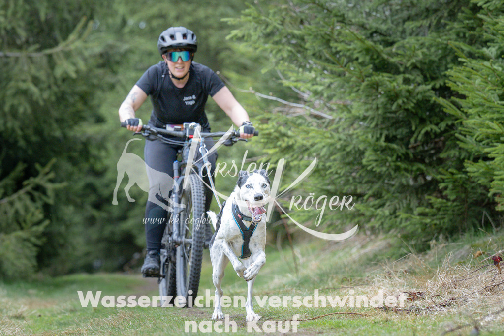 1311_ZZ93933 | kk-dogfotos