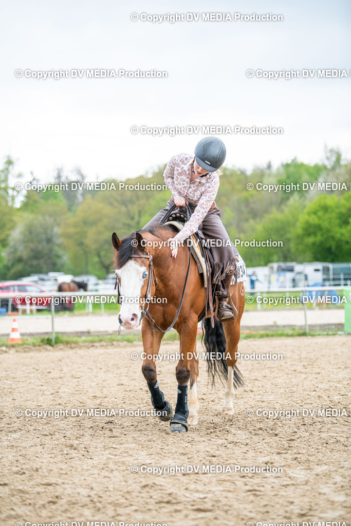 Heiligenwald Tag 1-1335 | dv-media-shop - Realisiert mit Pictrs.com