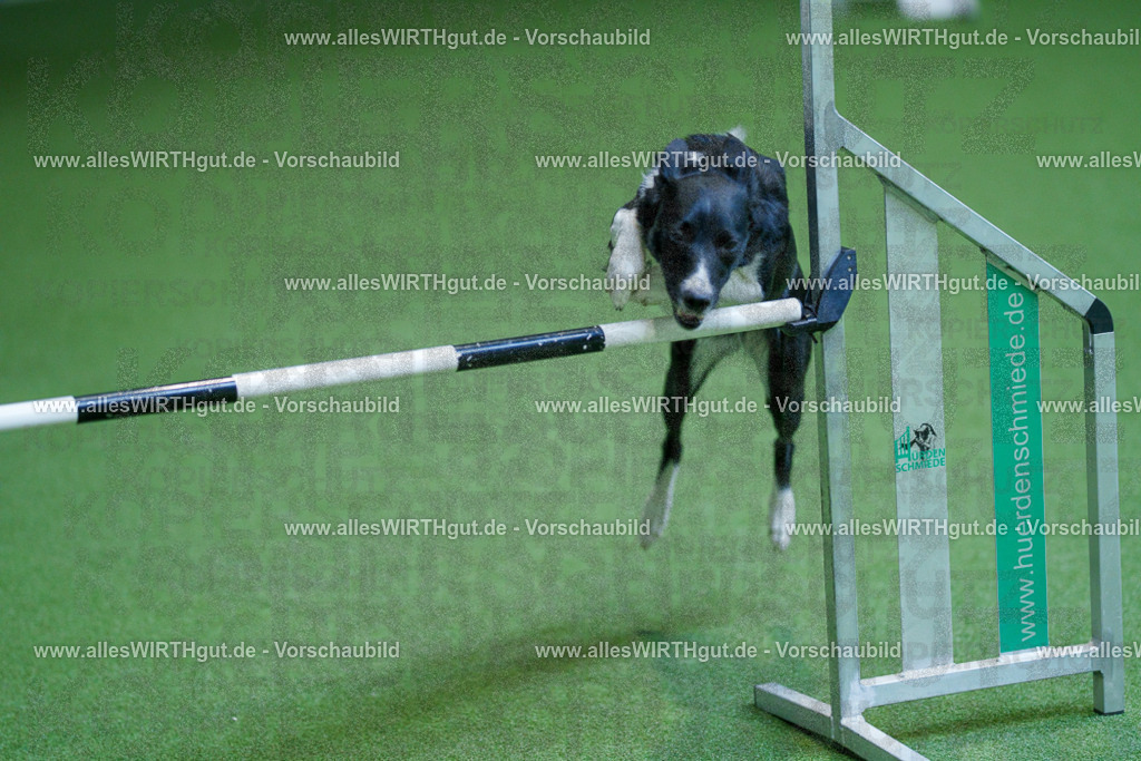 @allesWIRTHgut_Tierfotografie - www.allesWIRTHgut.de - 2604261357-7R503045 | Professionelle Tierfotografie in Mönchengladbach von Daniel Wirth (allesWIRTHgut). Liebevolle & natürliche Bilder von Hunden & Katzen für unvergessliche Erinnerungen.