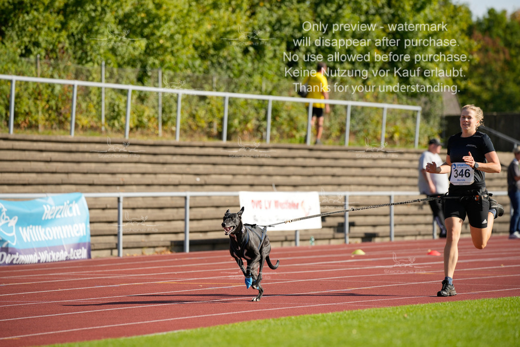 Sonntag_Staffel (126 von 336) | stephaniefillaphotographie - Realisiert mit Pictrs.com