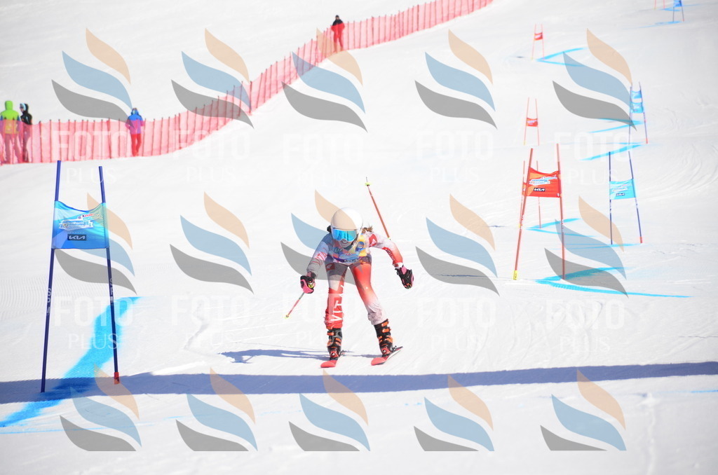 VR4_8810 | holidayphoto