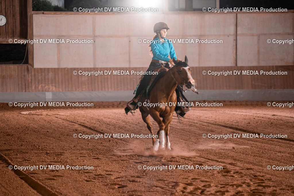 NE201519 | dv-media-shop - Realisiert mit Pictrs.com