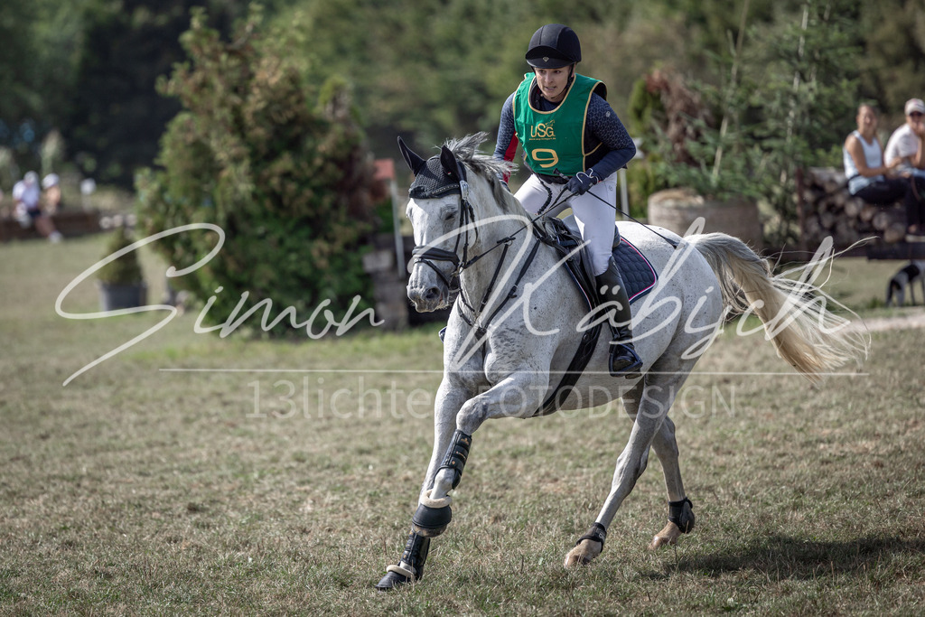 20250907-_3LI1178 | Tierfotografie Pferde, Hunde, Katzen, Haustiere.
Turnierfotografie Reitturniere, Reiten, Springreiten, Dressur in Hanau, dem Main-Kinzig-Kreis und dem Rhein-Main- Gebiet um Frankfurt