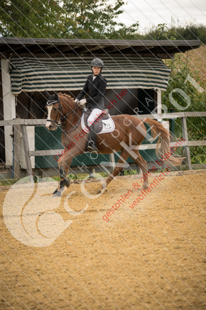 DSC_7410 | Sport-, Event- und Tierfotos in Profiqualität. Einfach auswählen, bestellen und herunterladen. Dein Moment – perfekt festgehalten.