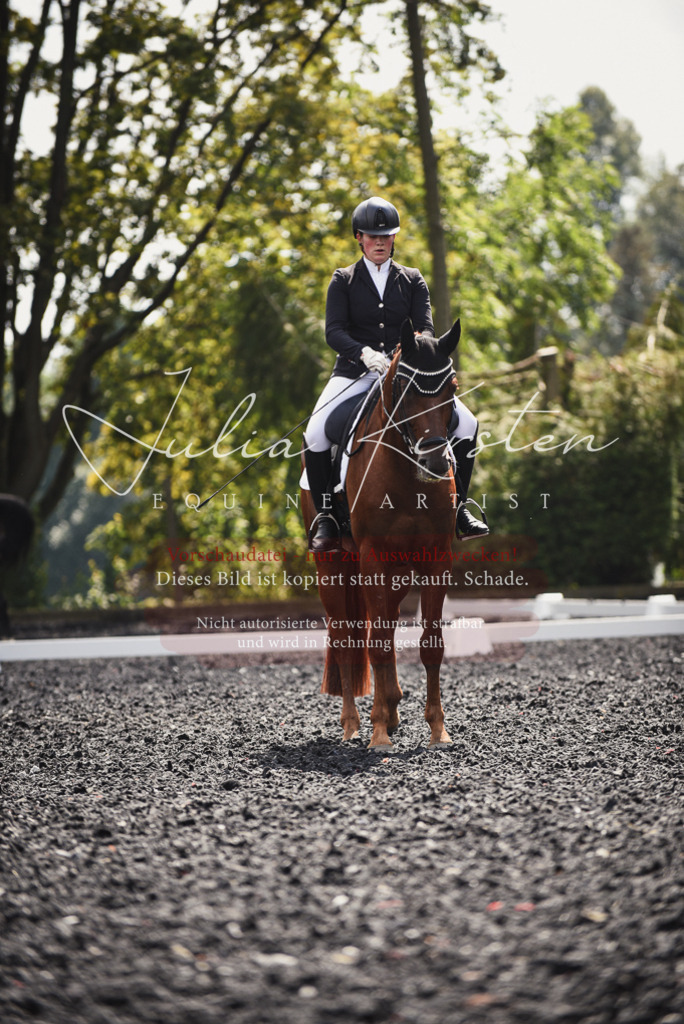 DSC_4210 | Pferde- und Turnierfotografie in Westsachsen. Pferdeportraits, Auftragszeichnungen und intuitive Kunst.