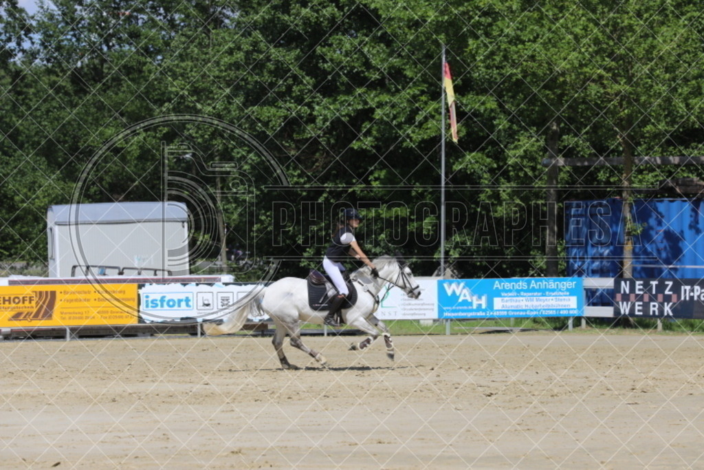 IMG_5440 | photographesa-joergens - Realisiert mit Pictrs.com