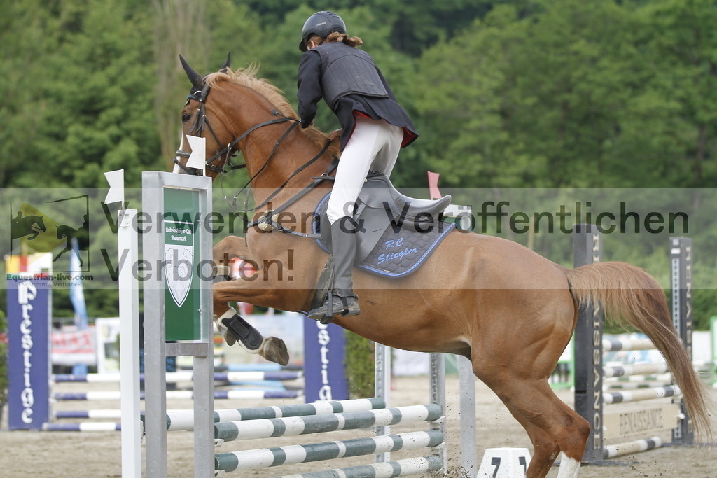 _MG_4261 | equestrian-live-com