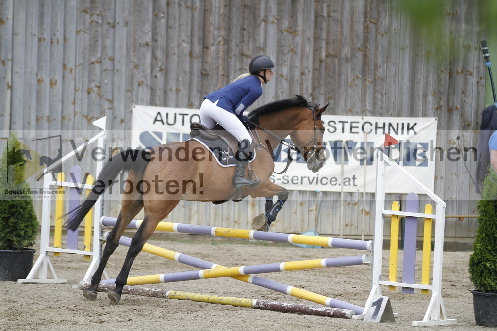 _MG_1034 | equestrian-live-com